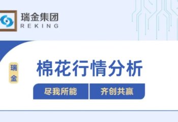 棉花行情分析