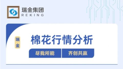 棉花行情分析