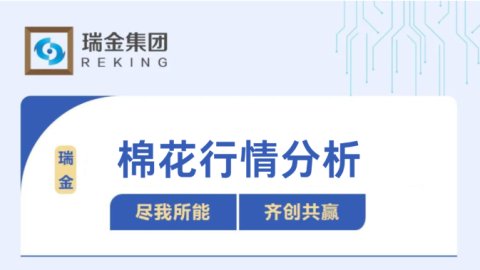 棉花行情分析