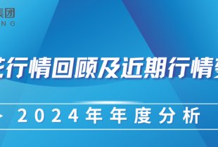 2024 年棉花行情回顾及近期行情变化