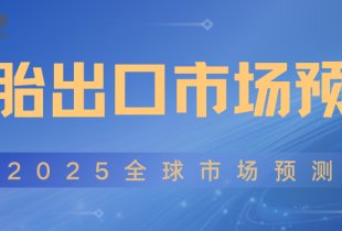 2025全球轮胎出口市场预测