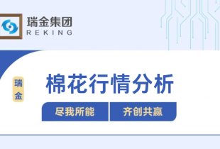 棉花行情分析