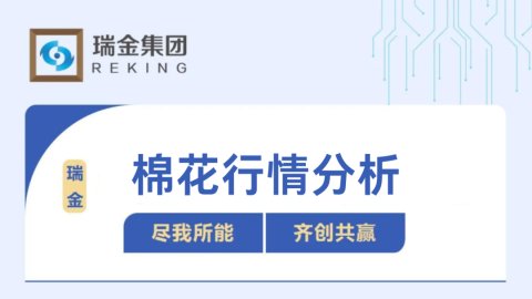 棉花行情分析