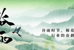 谷雨时节，棉花与橡塑行业的春耕与挑战