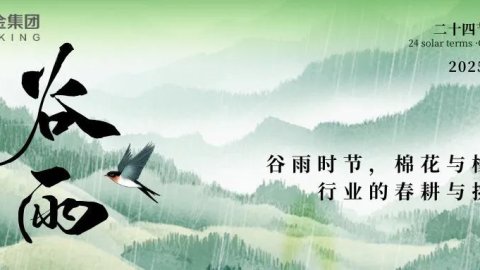 谷雨时节，棉花与橡塑行业的春耕与挑战