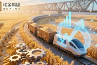 中哈小麦粉贸易新篇：铁路铺就合作“快车道”