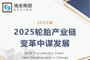 2025轮胎产业链：变革中谋发展