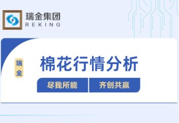 棉花行情周报
