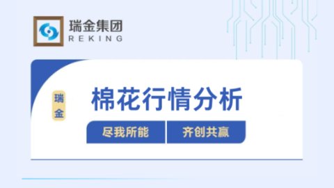 棉花行情分析