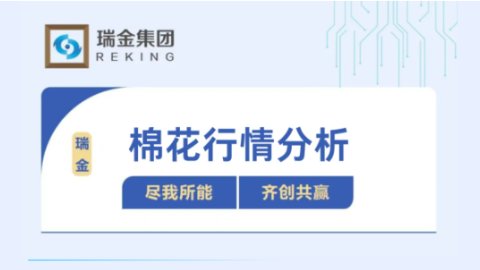 棉纺行情分析