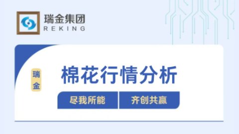 棉纺行情分析