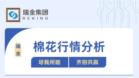 棉纺行情分析