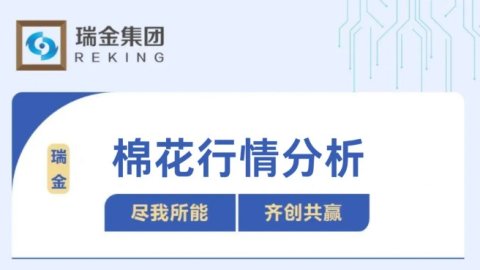 棉纺行情分析